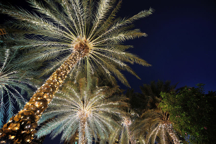 Make Holiday Lighting Easy in Your Neighborhood
