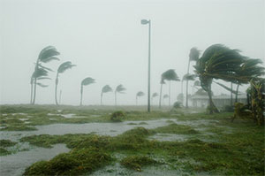 Hurricanes & Florida Property Management