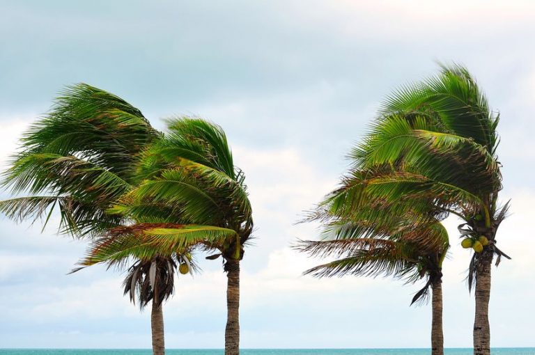 5 Hurricane Preparedness Tips for your HOA