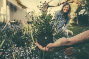 HOAs & community gardens