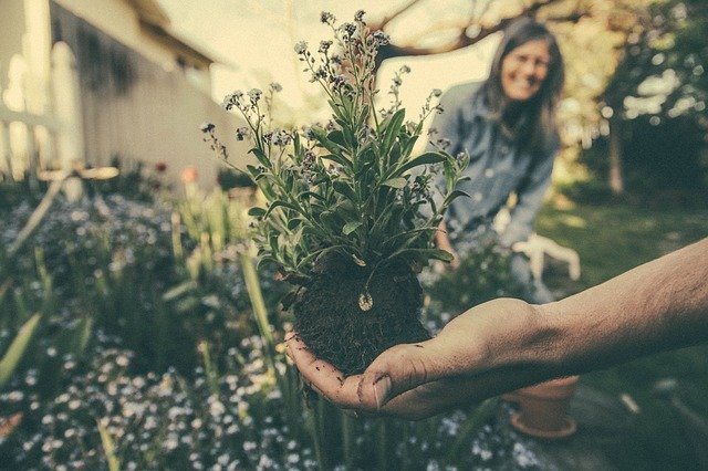 Easy Ways to Make Your HOA More Environmentally Conscious