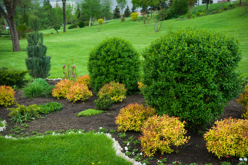 landscaping and home renovations and hoa