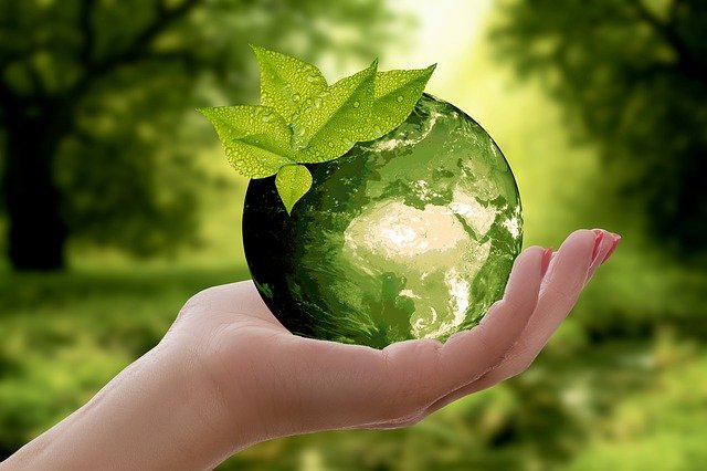 How Your HOA Can Help the Environment